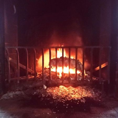 Agriturismo Le Colonie 普雷甘齐奥尔 外观 照片